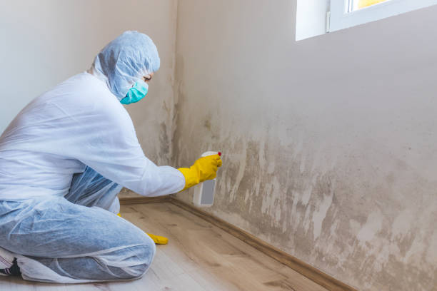 Hvac And Air Duct Mold Remediation inspection of HVAC system in Avenue